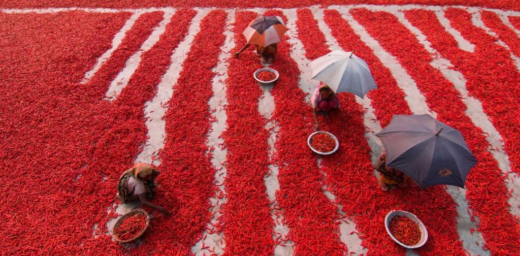 One of the Commended Entries in Good Food for All Photography Competition at UN Food Systems Summit.