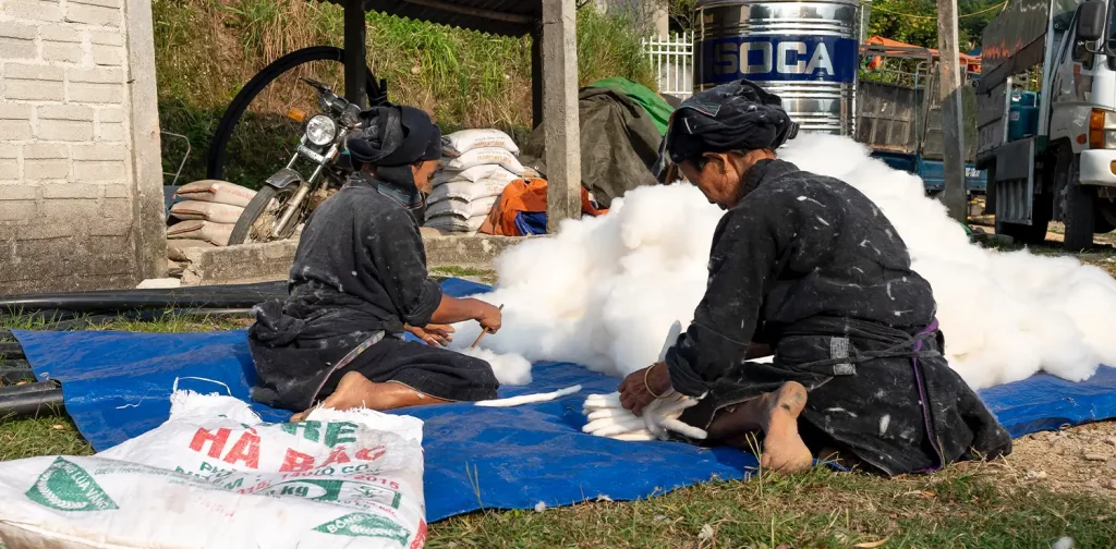 two female workers are working in front of a heap of cotton with their backs facing the camera