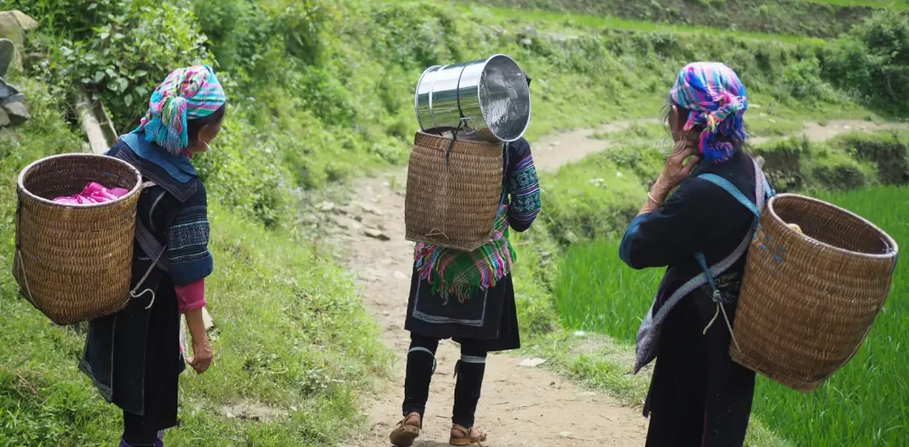 Four women carrying a basket to visit plantation