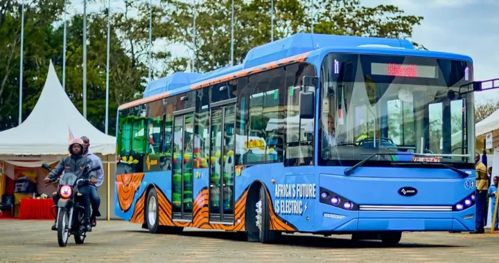 a blue roam rapid mass transit bus